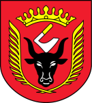 Miasto i Gmina Wiskitki - herb.